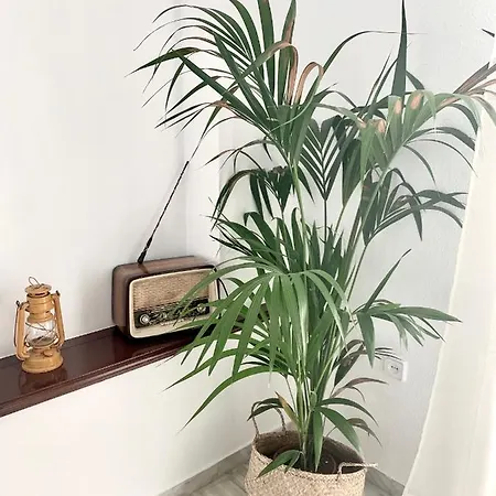 Mamre Alojamento de Acomodação e Pequeno-almoço *